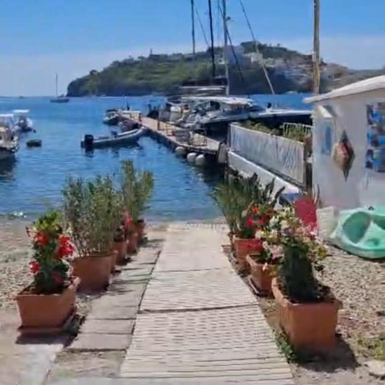 Sinfonia del mare - Appartamento con 1 Camera da Letto - 3