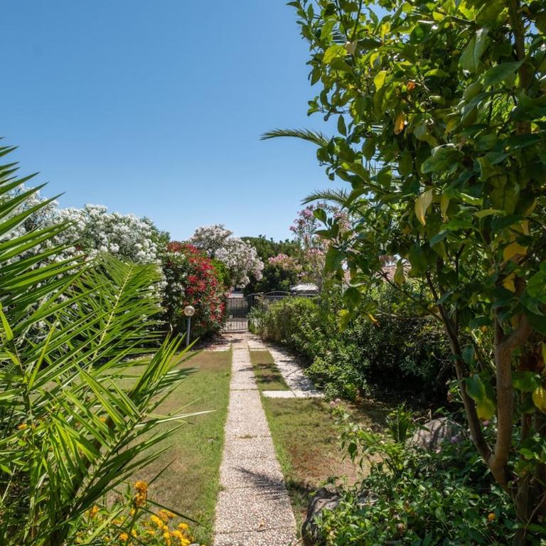 Ampia e Accessoriata-Private garden - 500 meters from the beach - Appartamento - 21