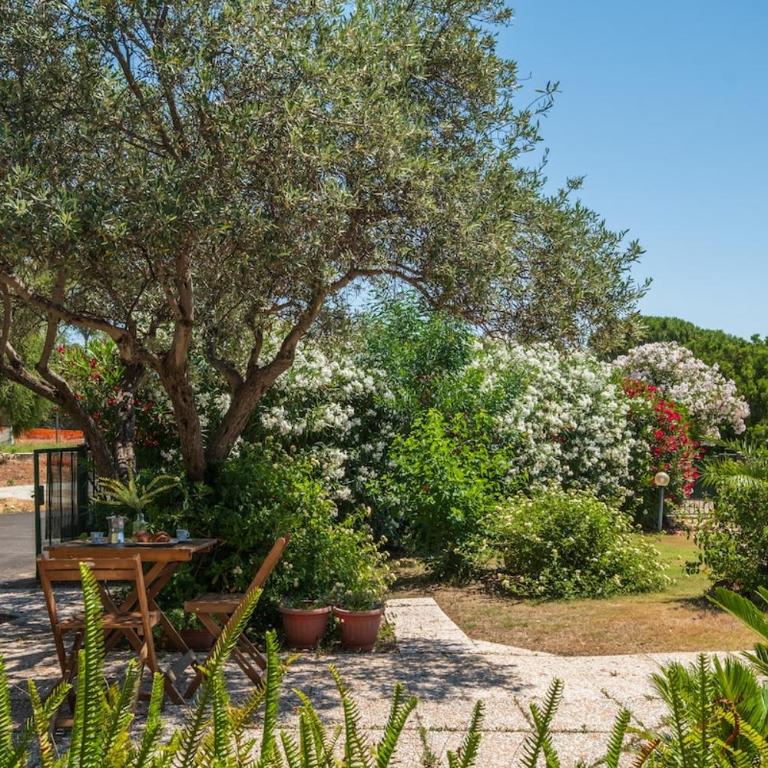 Ampia e Accessoriata-Private garden - 500 meters from the beach - Appartamento - 23