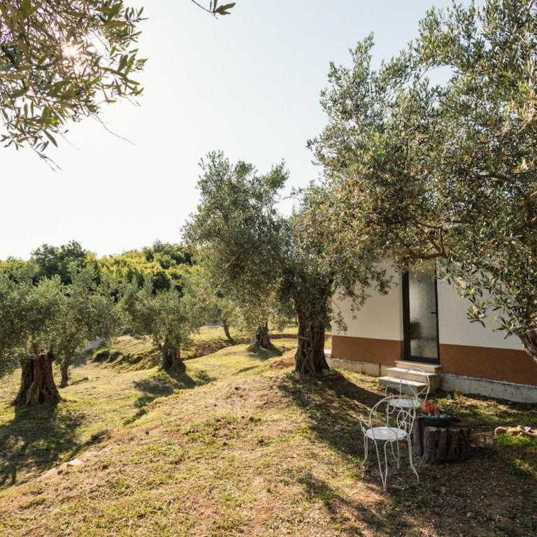 Olive Grove Serenity Retreat 2, Bungalow - Apartman sa 1 Spavaćom Sobom - 8