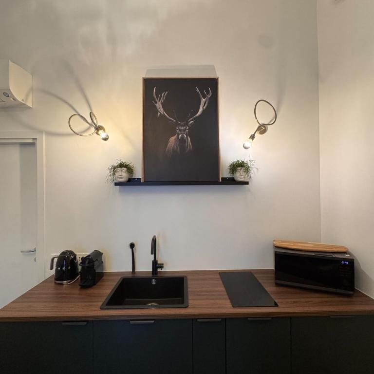 Casa Verde - Urban Oasis in the Heart of Bergamo - Appartamento con 2 Camere da Letto - 11