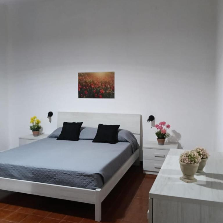 DOMUS MANDROLISAI holiday home cagliari - One-Bedroom House - 4
