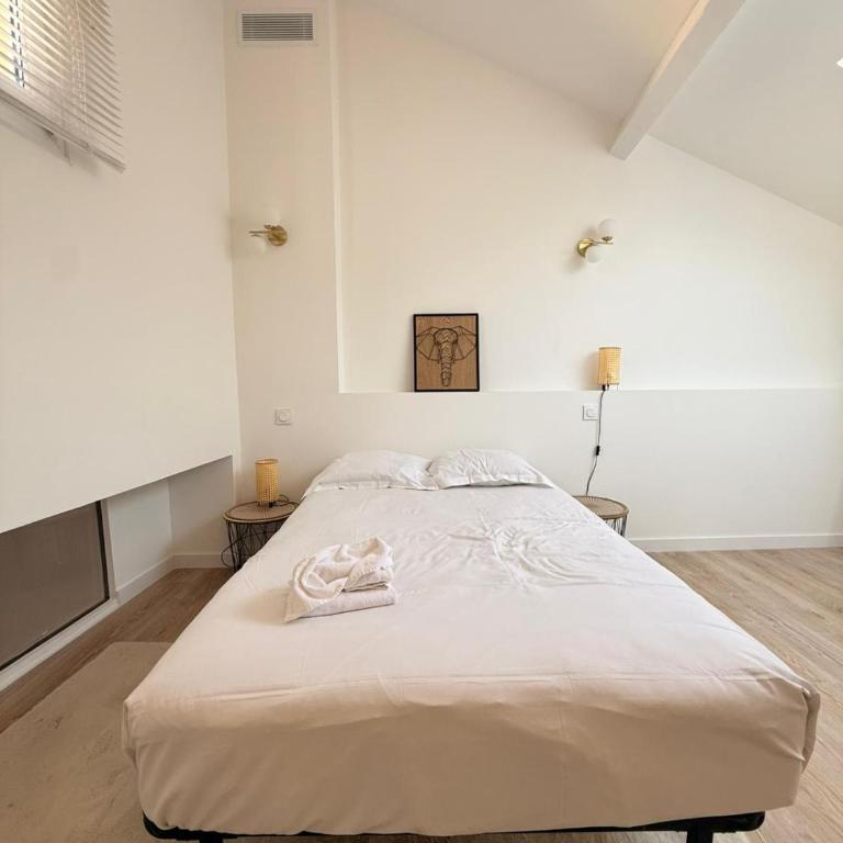 Appartement 2 chambres entièrement climatisé avec place de parking au bord de mer a Cannes - Appartement 2 Chambres - 15