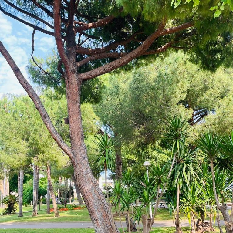Appartement 2 chambres entièrement climatisé avec place de parking au bord de mer a Cannes - Appartement 2 Chambres - 17