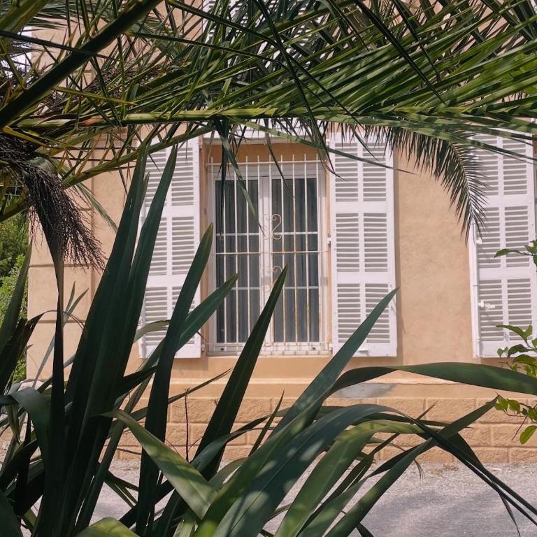 Appartement 2 chambres entièrement climatisé avec place de parking au bord de mer a Cannes - Appartement 2 Chambres - 19