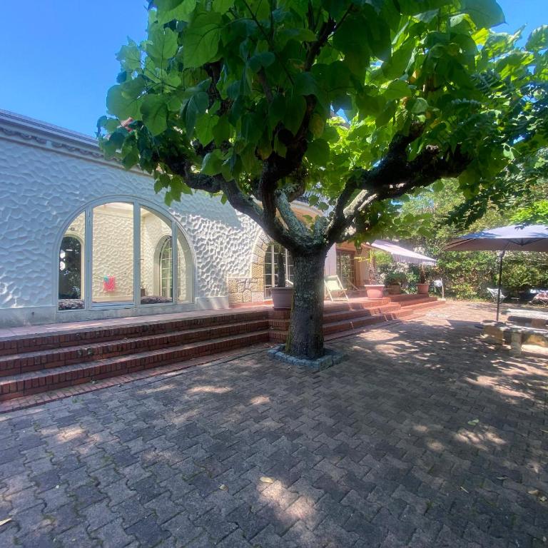 Villa avec Piscine Intérieure, 5 Chambres, Proche Plage et Commerces à Arcachon - FR-1-374-220 - Villa - 34