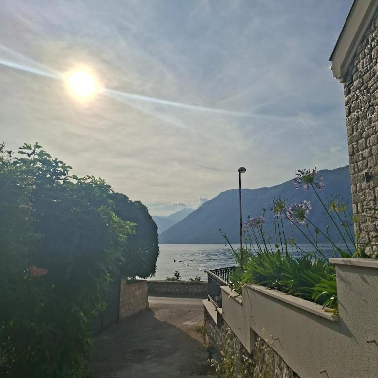 Riva Mare - Apartment 1 - Apartment mit 1 Schlafzimmer - 15