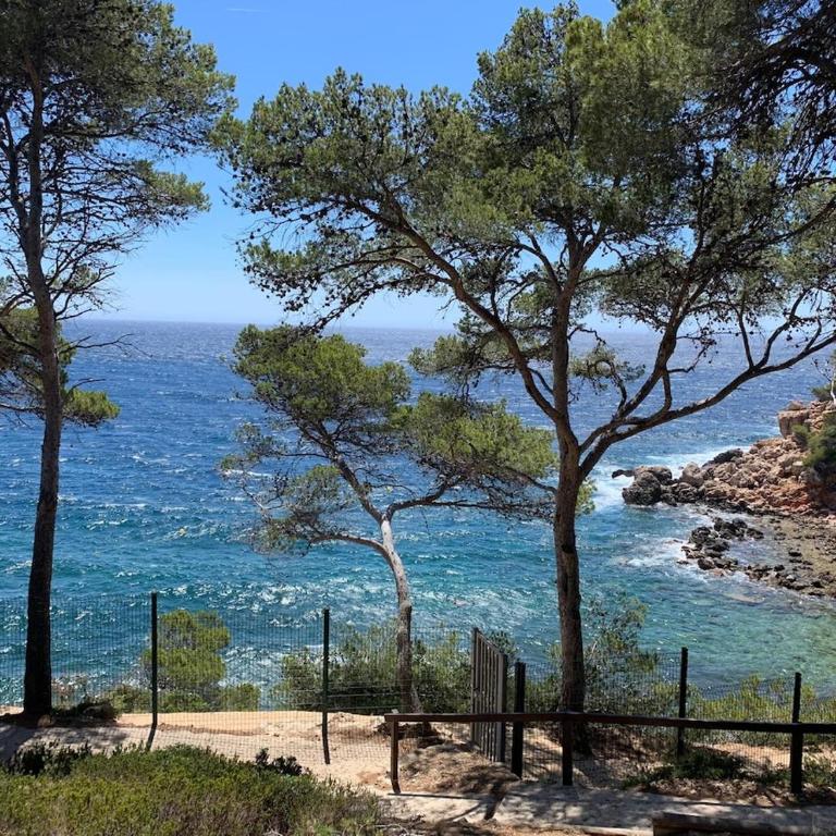 Le petit Azur - Appartement 1 Chambre - 5
