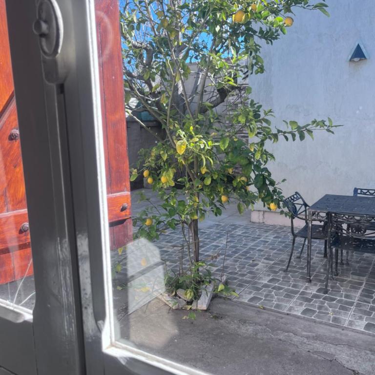 Residencia Martínez - Apartamento de 3 dormitorios - 25