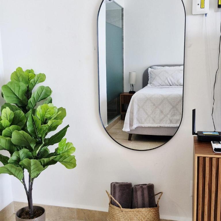 PROMO Beautiful beachfront Apt with pools, jacuzzi, gym - Appartement 1 Chambre - 8