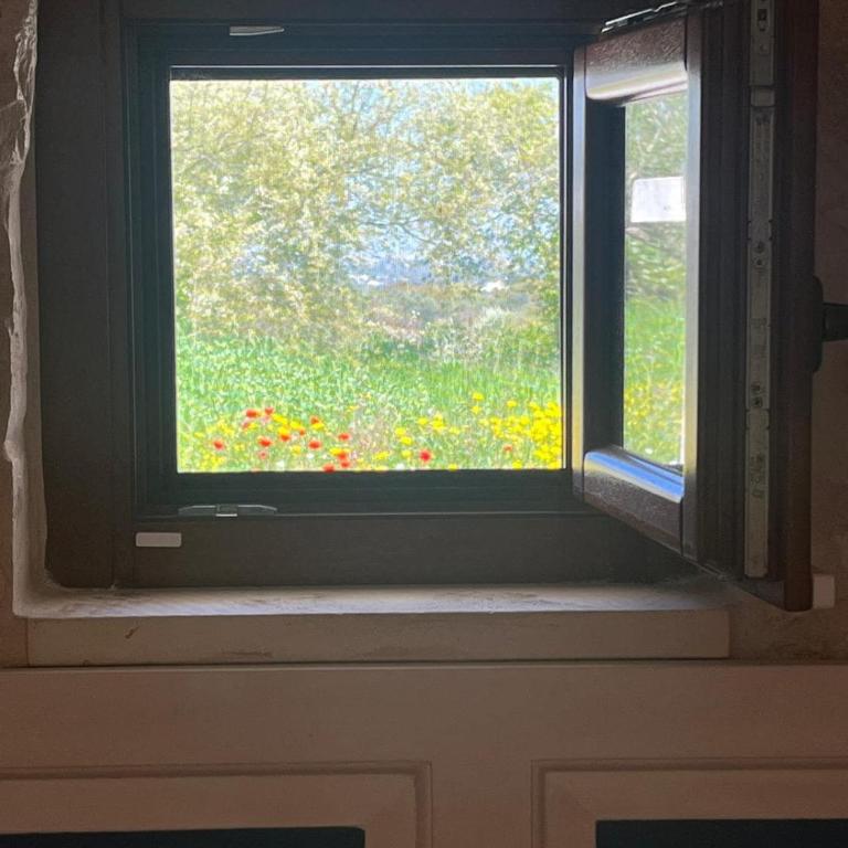 I Trulli di Alessandro, nel cuore della Valle d'Itria - Two-Bedroom Villa - 8