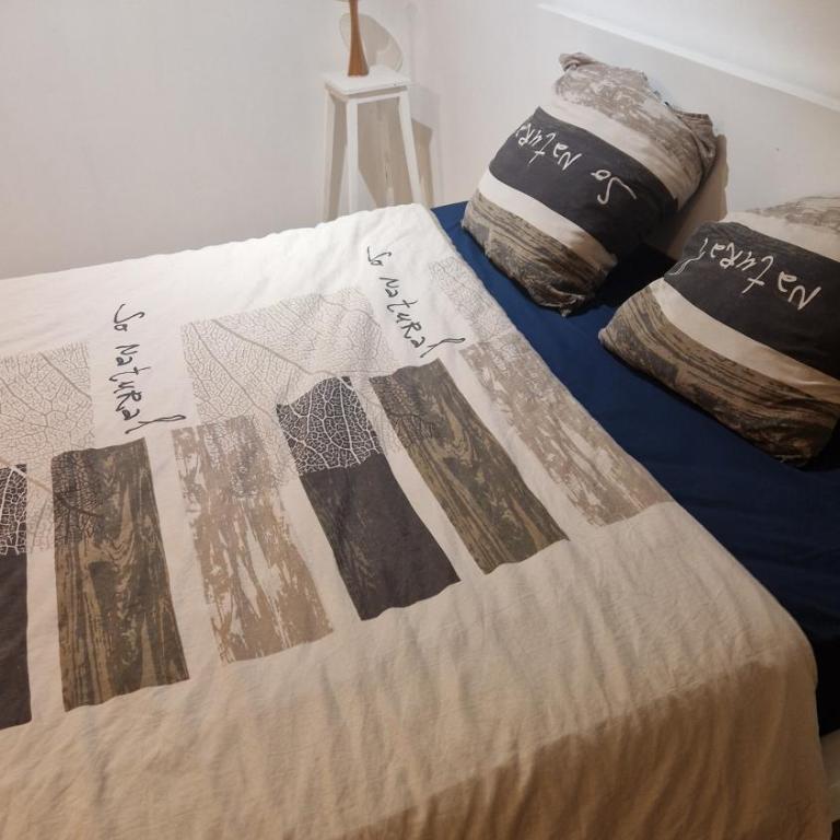 Appartement ou Chambre collocation - Quartier Saint-Genès - Sainte Catherine - Appartement - 8