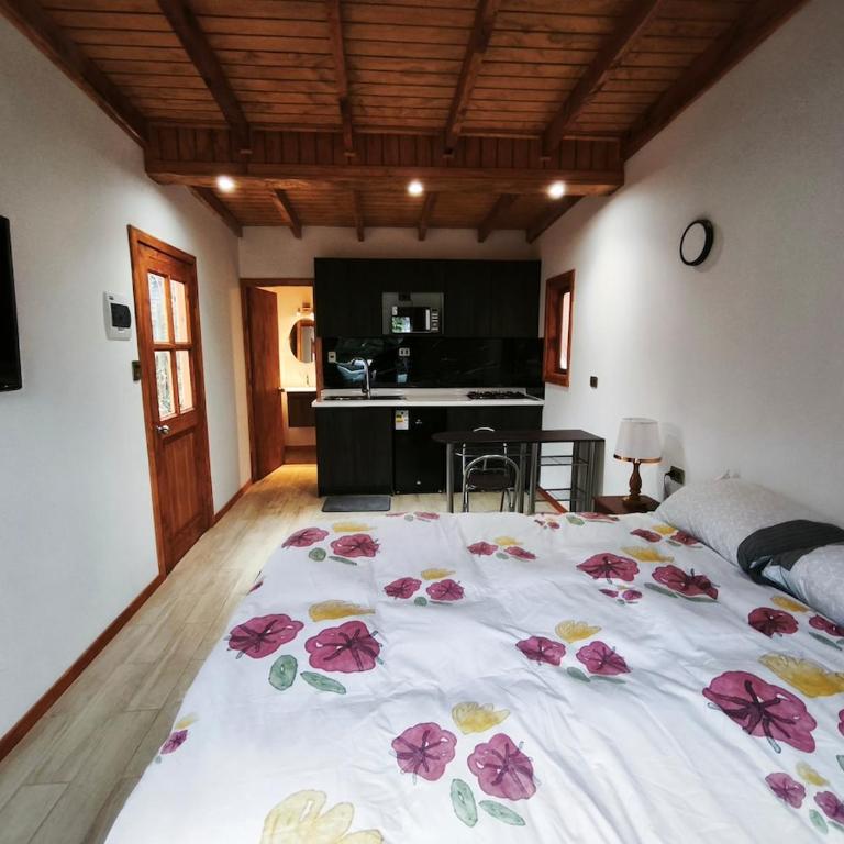 Hermosa cabaña Pucon Caburga 2 - Apartamento de 1 dormitorio - 2