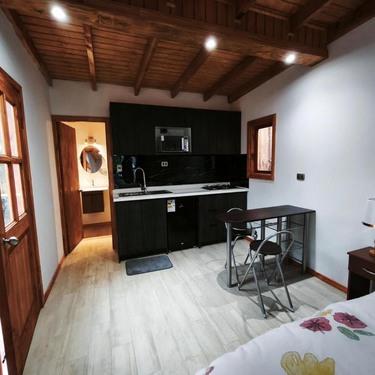 Hermosa cabaña Pucon Caburga 2 - Apartamento de 1 dormitorio - 4