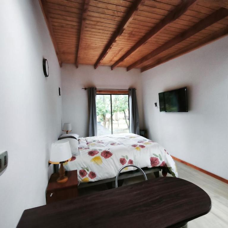 Hermosa cabaña Pucon Caburga 2 - Apartamento de 1 dormitorio - 5