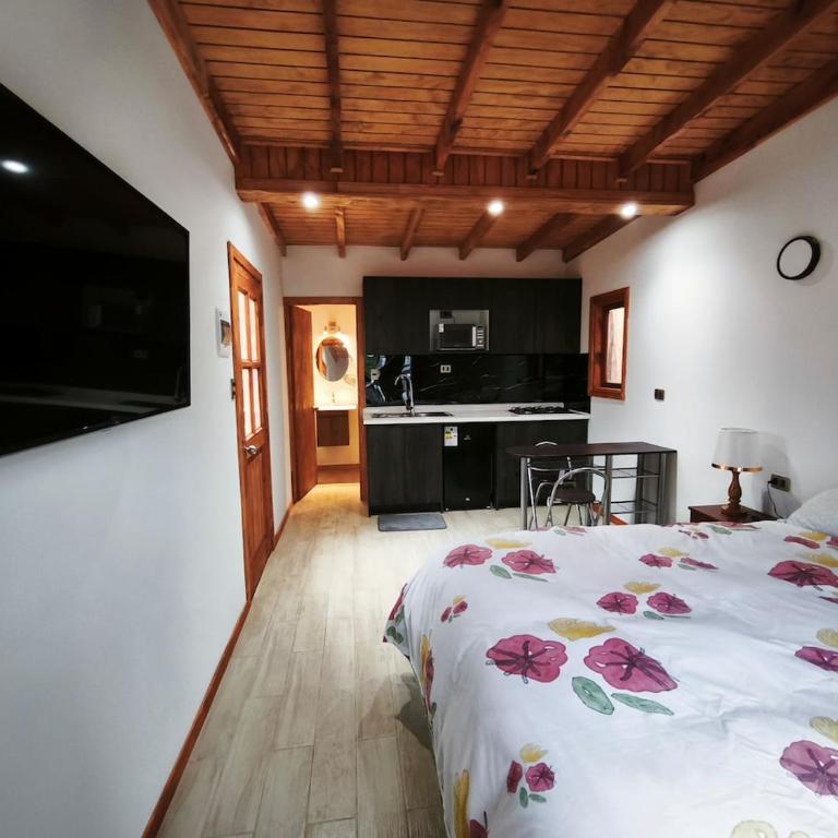 Hermosa cabaña Pucon Caburga 2 - Apartamento de 1 dormitorio - 7