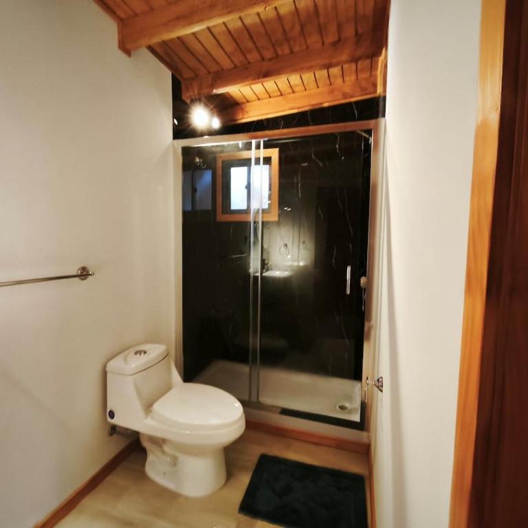Hermosa cabaña Pucon Caburga 2 - Apartamento de 1 dormitorio - 8