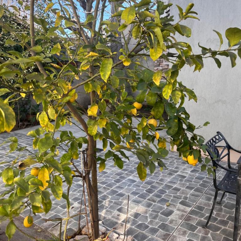 Residencia Martínez - Apartamento de 1 dormitorio - 17