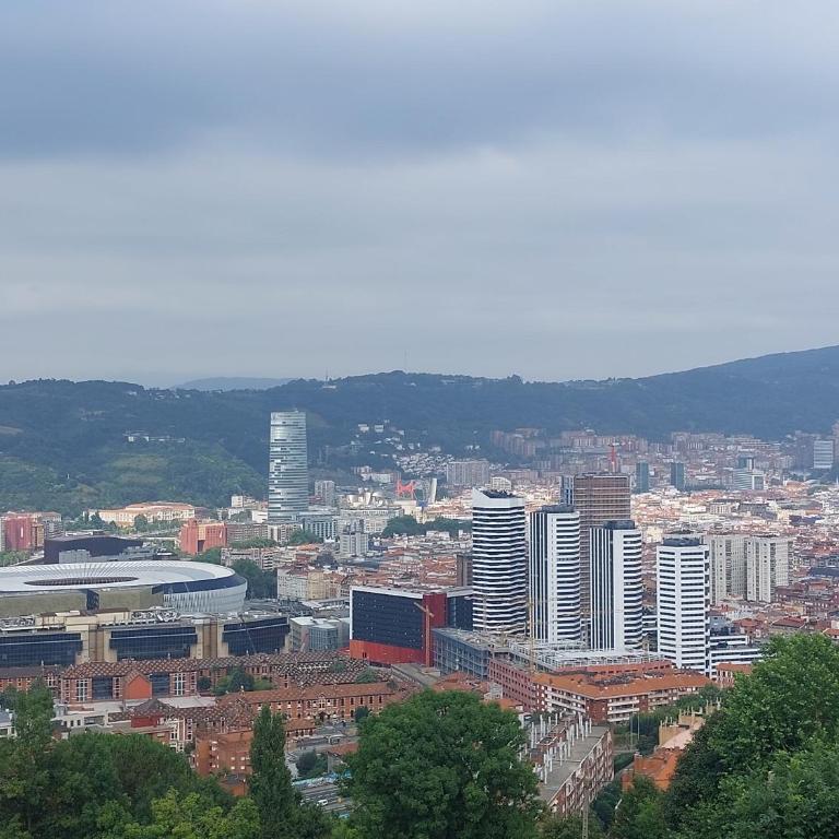 Sweet hill Bilbao - Maison 2 Chambres - 4