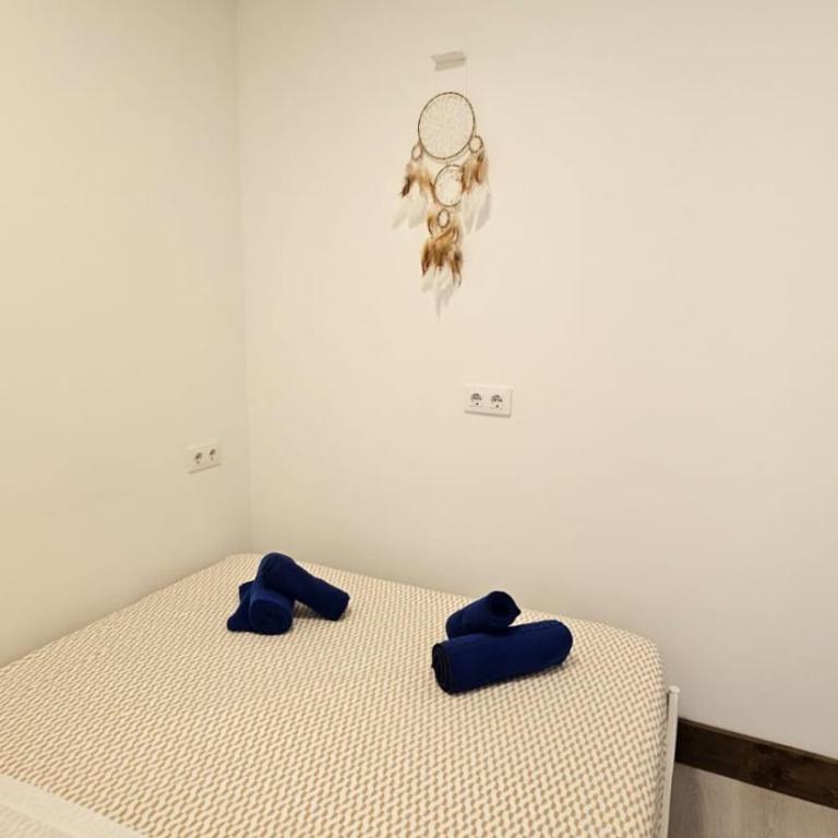 JABUTI Autocaravana con porche y aparcamiento - Double Room with Private Bathroom - 18