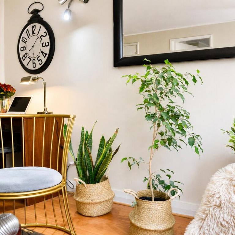 201 Providencia Estacionamiento - One-Bedroom Apartment - 14