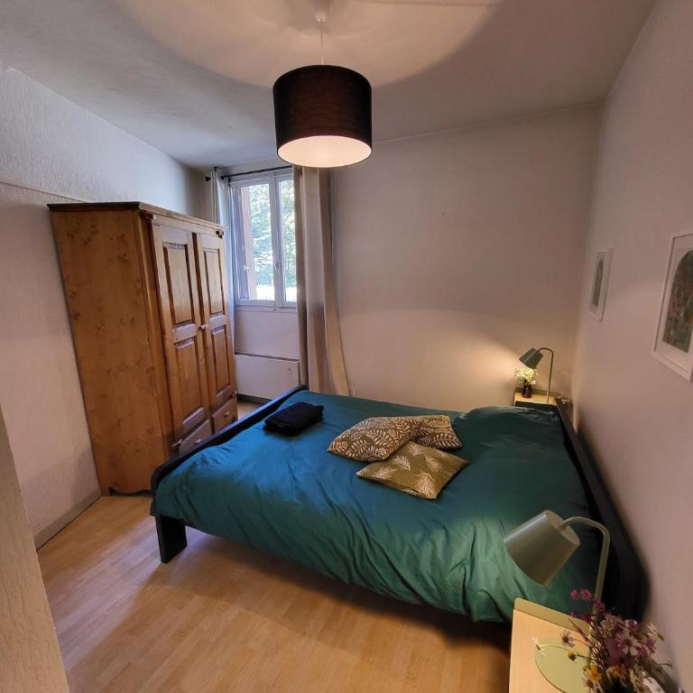 3 pièces La Foux d'Allos centre station - Appartement 2 Chambres - 6