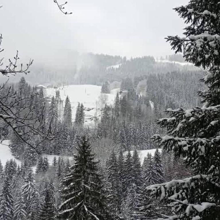 Cosy Apt Close to Ski Lift Easy Access to Town - Apartment - 14