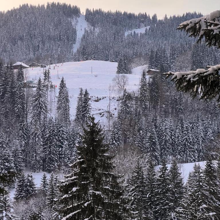 Cosy Apt Close to Ski Lift Easy Access to Town - Apartment - 15