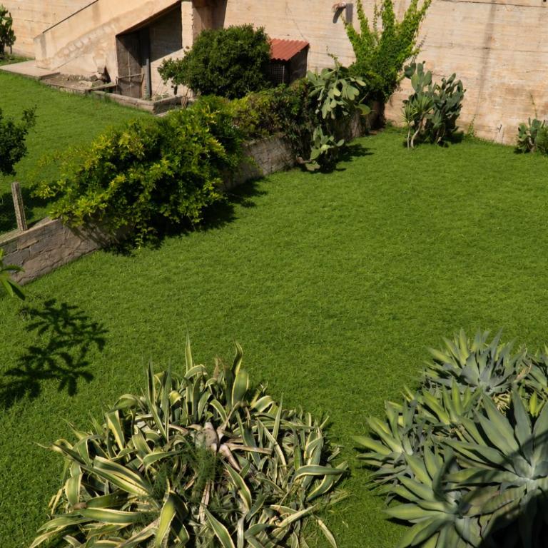 Belvedere sul Mare - Villa in Marina di Ragusa - Villa con 3 Camere da Letto - 4