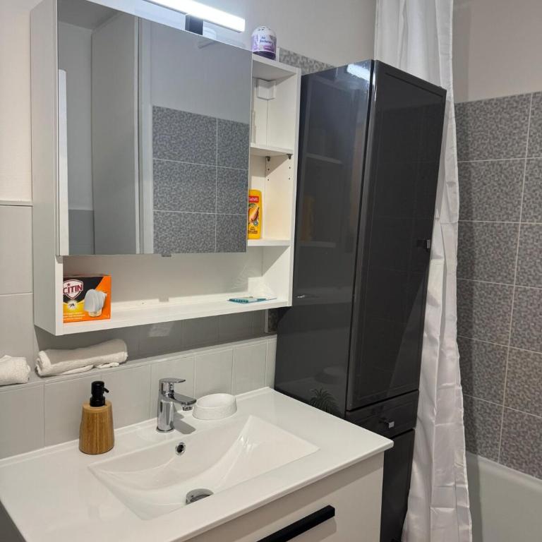 Fréjus Beach Studio 30 m2 - Appartement 1 Chambre - 10