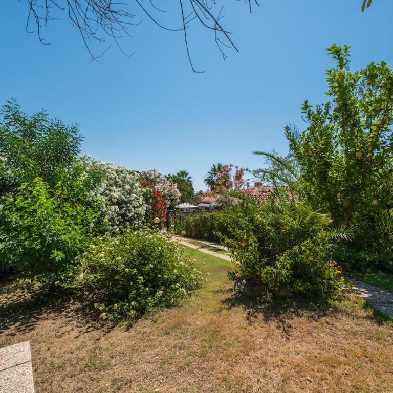 Ampia e Accessoriata-Private garden - 500 meters from the beach - Appartamento - 35