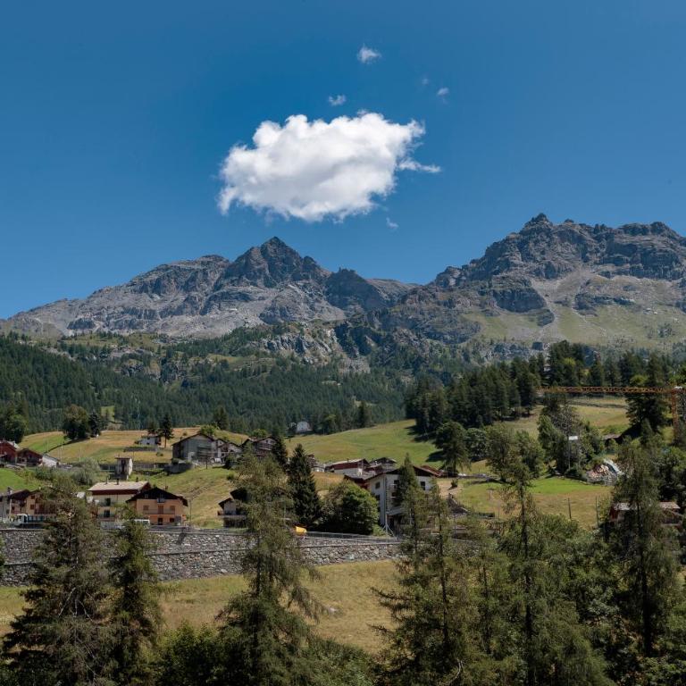 La Chambrette - Authentic Chalet View - Casa con 1 Camera da Letto - 41