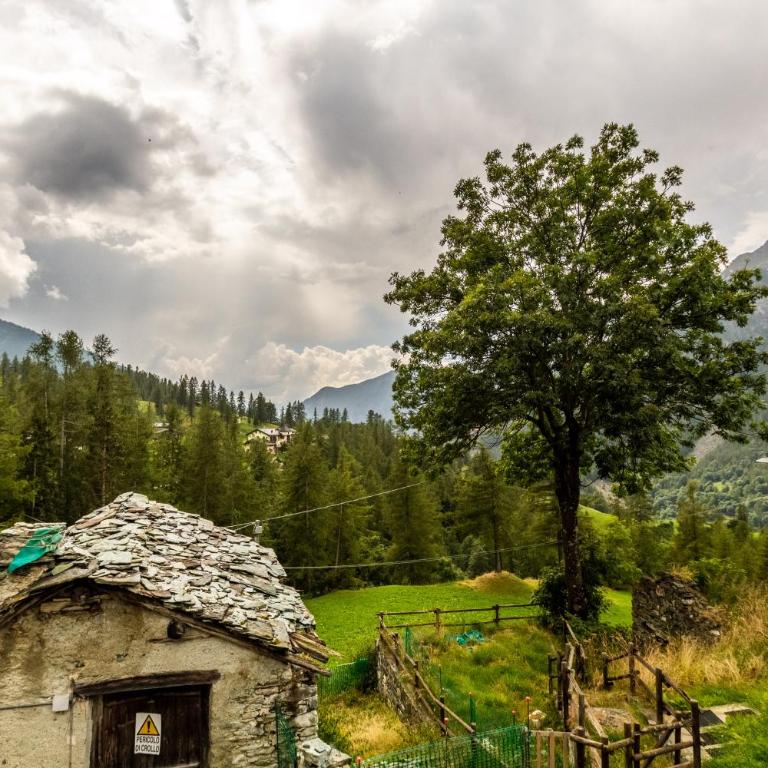 La Chambrette - Authentic Chalet View - Casa con 1 Camera da Letto - 12