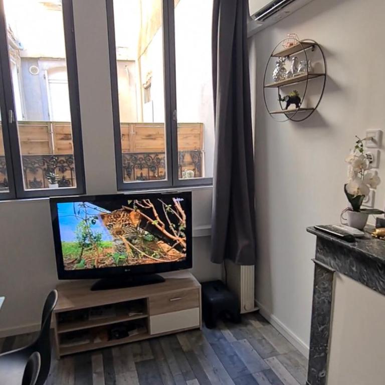 Appart cosy avec balnéo, balcon, clim à 15 min de la Cité - Apartment mit 1 Schlafzimmer - 4