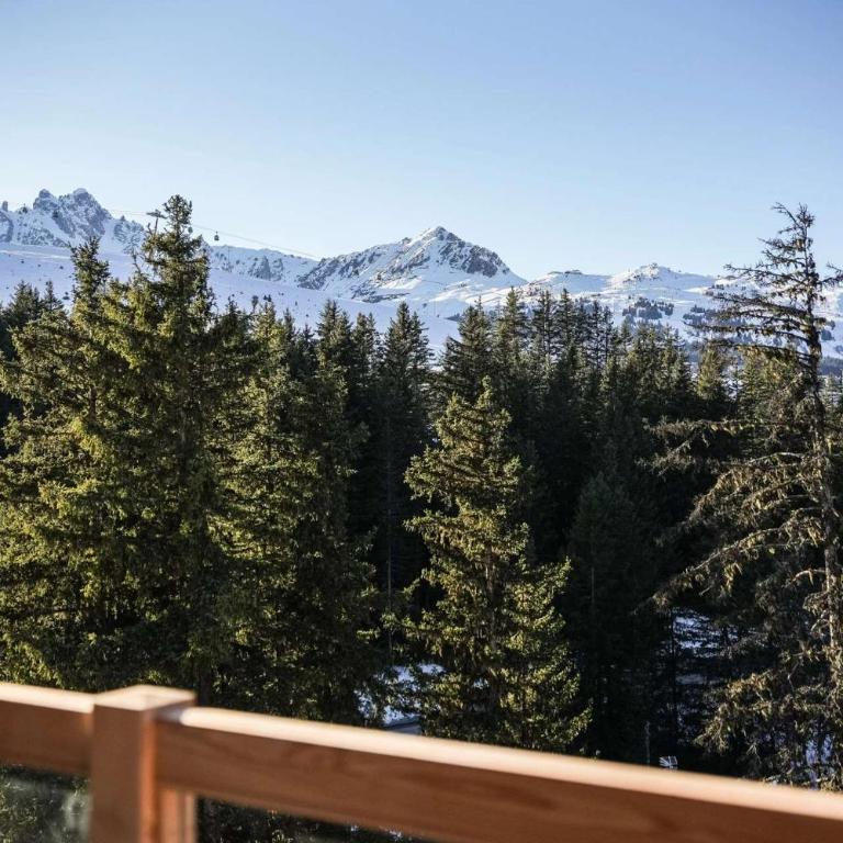 Luxury Penthouse Ski-in andout Panoramic View - Apartamento - 6