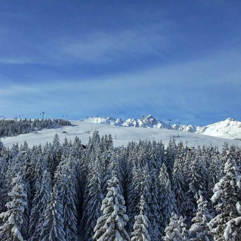 Luxury Penthouse Ski-in andout Panoramic View - Apartamento - 8