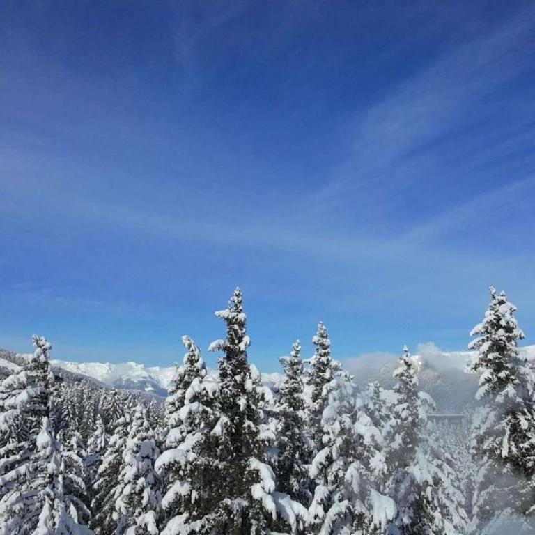 Luxury Penthouse Ski-in andout Panoramic View - Apartamento - 9