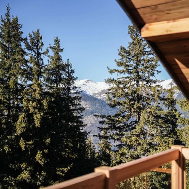 Luxury Penthouse Ski-in andout Panoramic View - Apartamento - 17