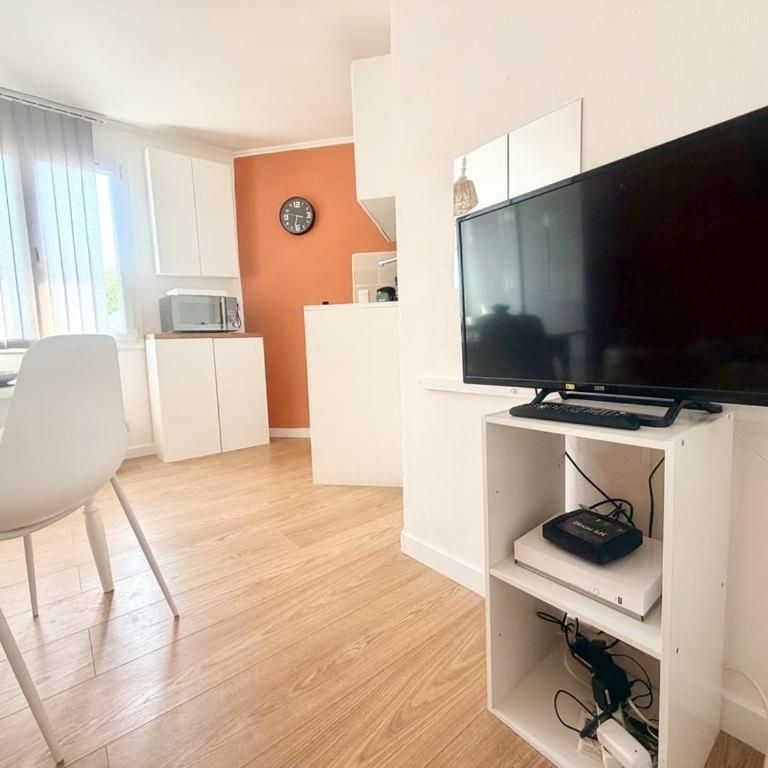 Les Capucines- Parking sur place - Appartement 1 Chambre - 11
