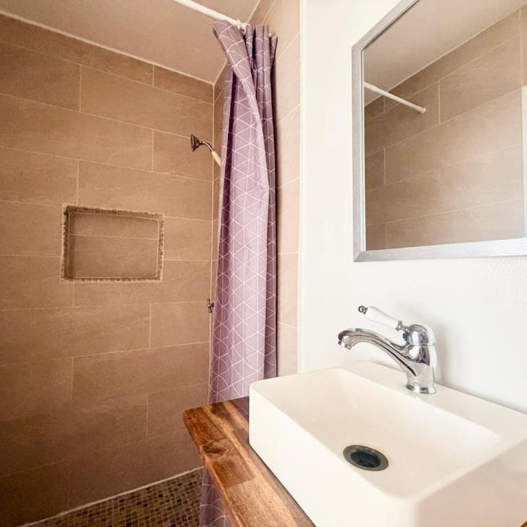 Les Capucines- Parking sur place - Appartement 1 Chambre - 12