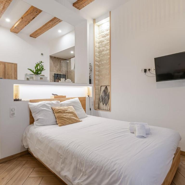 Studio spa charme alsacien Hypercentre cathédrale - Appartement 1 Chambre - 4