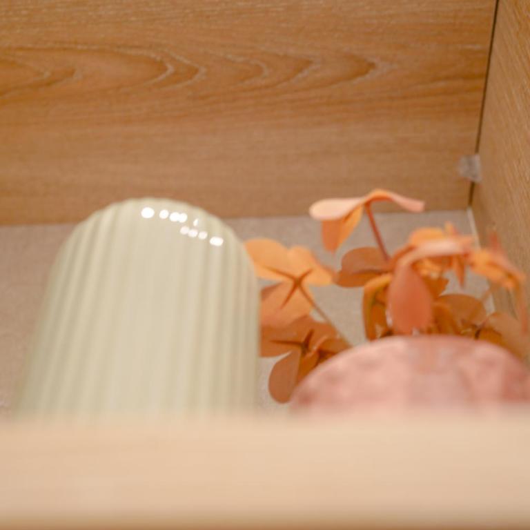 Holi Rome Apartments - San Pietro - Apartment 1 - Appartamento Superior con 1 Camera da Letto - 53