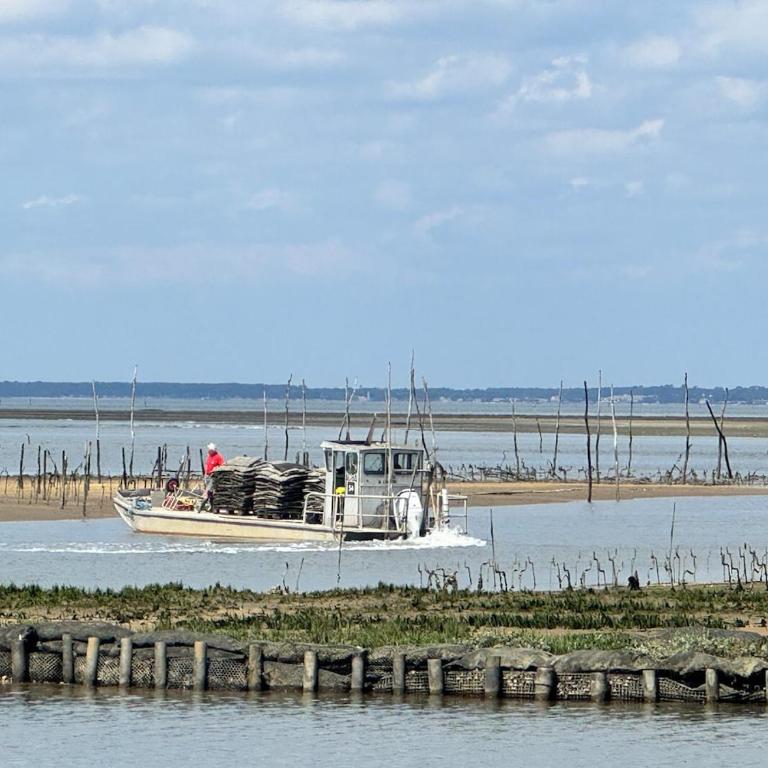 La Parenthèse - sea view and calm in Arcachon - Apartamento de 2 dormitorios - 8