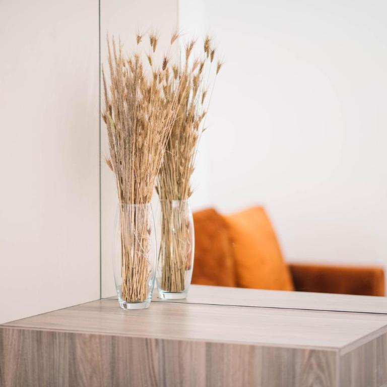 Guest House Fjola - Family Studio - 8