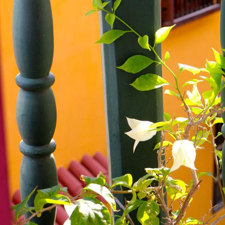 Apartamento en el corazón de Cartagena - Two-Bedroom Apartment - 13