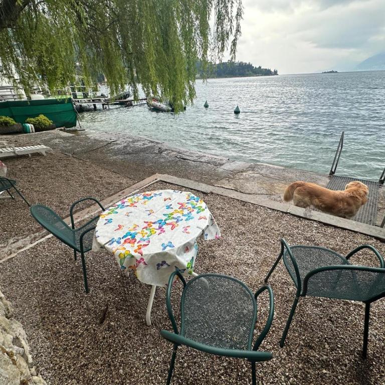 Villa Elisabetta - Appartamento con 1 Camera da Letto - 17