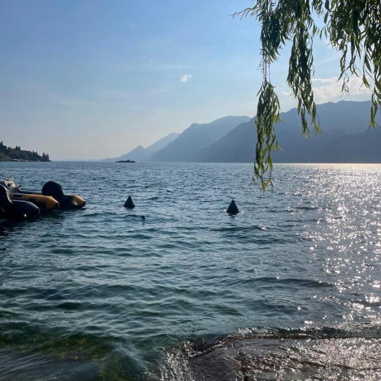 Villa Elisabetta - Appartamento con 1 Camera da Letto - 29