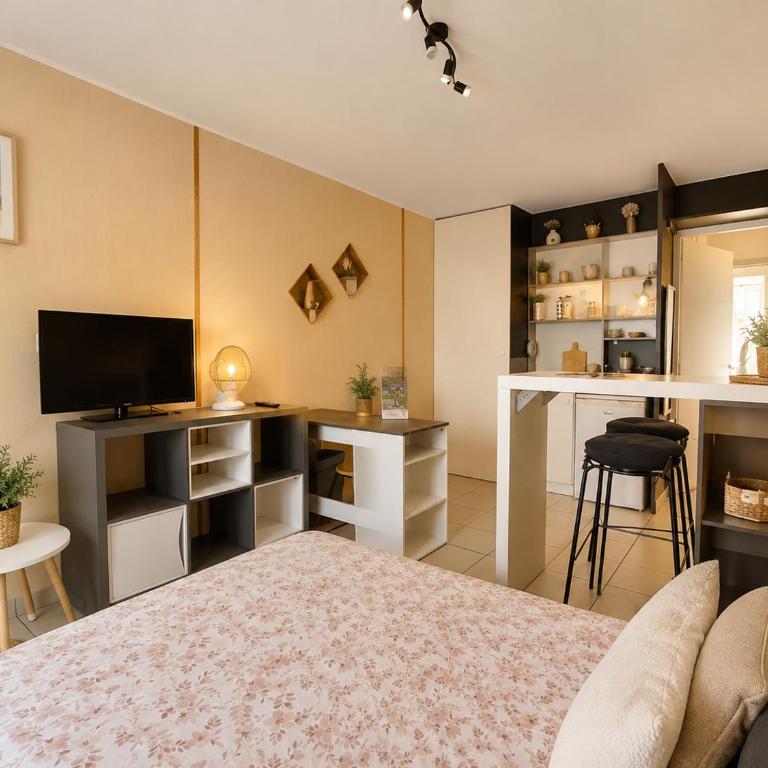 Appartement entier en centre-ville avec terrasse - Studio avec Terrasse - 2