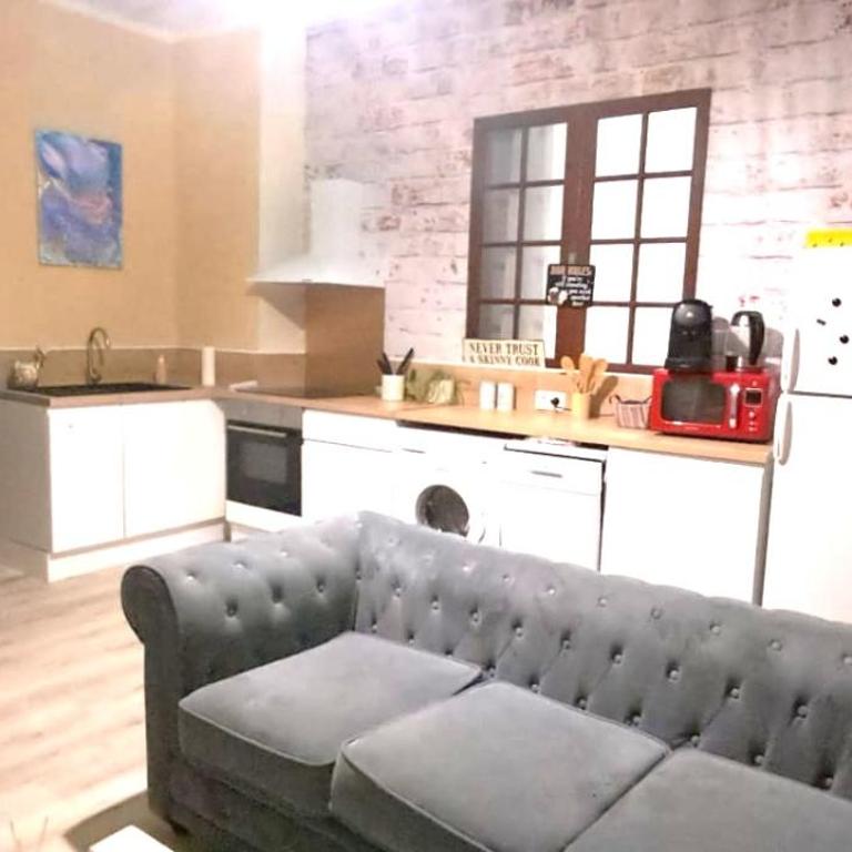New! Cosy Plume Art- T3 - Centre ville - Quartier Halles de Pau - Appartement 3 Chambres Deluxe - 4