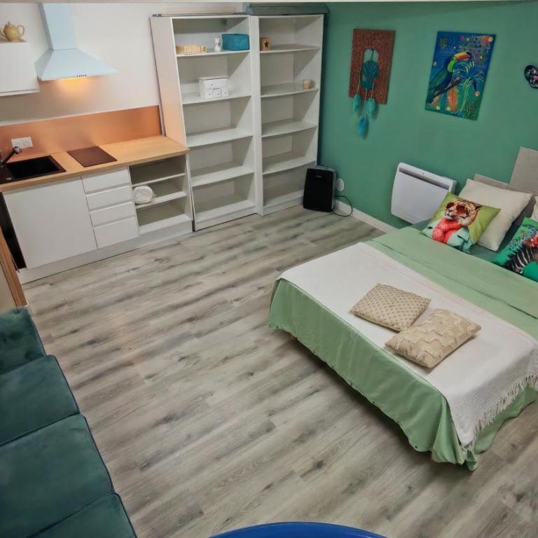 New! Cosy Plume Art- T3 - Centre ville - Quartier Halles de Pau - Appartement 3 Chambres Deluxe - 13